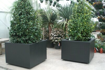 Boombak - EPS - Vierkant 