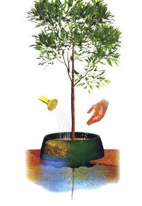 GreenWell Gietrand Zwart