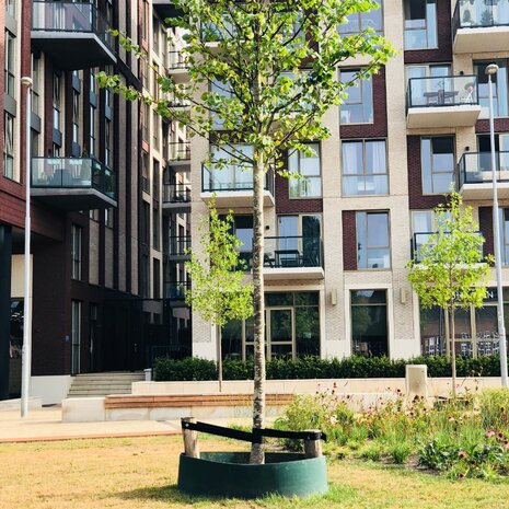 Gietrand groen - 3 mm (35 cm hoog)